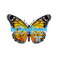 Kerusso Transformed Butterfly Sticker